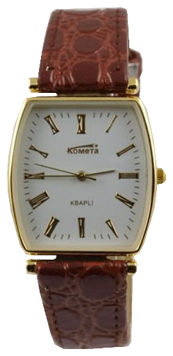 Wrist watch Kometa 210 9761 for men - 1 photo, picture, image