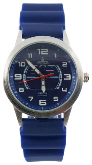 Wrist watch Specnaz S2031243-08 for men - 1 photo, image, picture