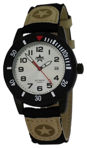 Wrist watch Specnaz S2134276-09 for men - 1 photo, picture, image
