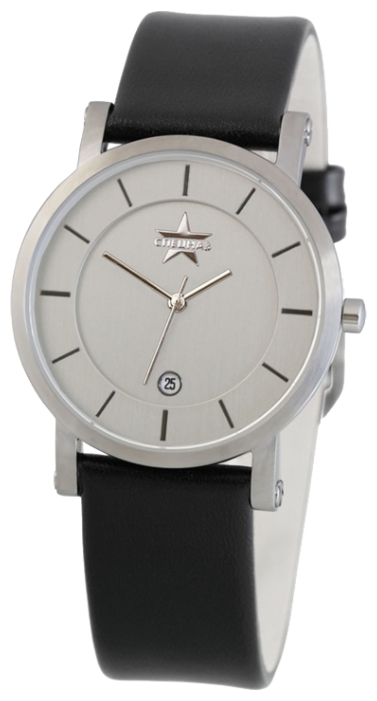 Wrist watch Specnaz S27230306-GM10-05 for men - 1 picture, image, photo