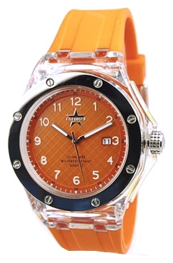 Wrist watch Specnaz S2728286-32-08 for men - 1 image, photo, picture