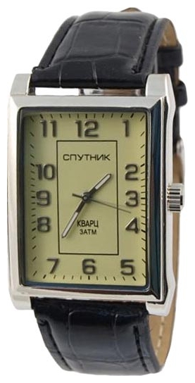 Wrist watch Sputnik M-856980/1 zhel. for men - 1 image, photo, picture