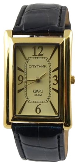 Wrist watch Sputnik M-857052/9 zhel. for men - 1 photo, picture, image