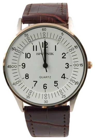 Wrist watch Sputnik M-857390/6 bel. for men - 1 photo, picture, image