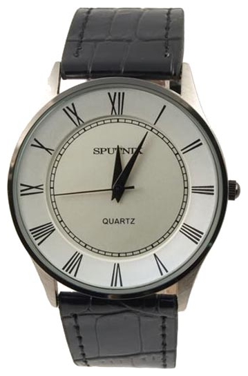 Wrist watch Sputnik M-857392/1 stal for men - 1 photo, image, picture