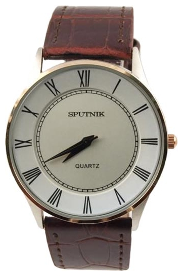 Wrist watch Sputnik M-857392/6 stal for men - 1 image, photo, picture