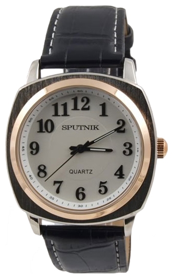 Wrist watch Sputnik M-857420/6 stal for men - 1 photo, picture, image