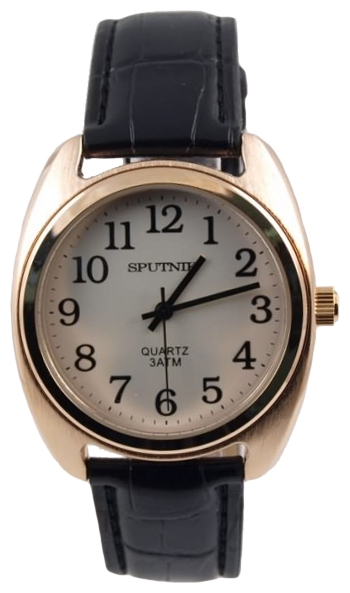 Wrist watch Sputnik M-857710/8 stal for men - 1 picture, image, photo