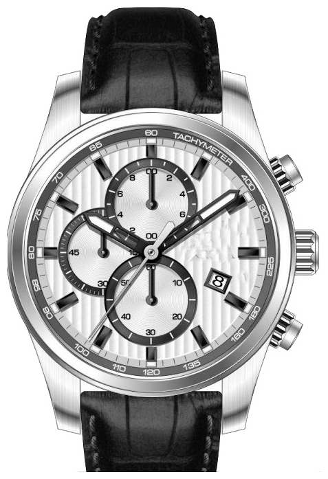 Wrist watch Sputnik NM-1N694-1 stal for men - 1 picture, photo, image