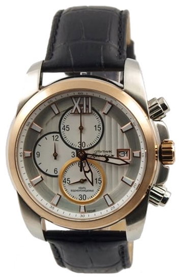 Wrist watch Sputnik NM-1N904/6 stal for men - 1 picture, photo, image
