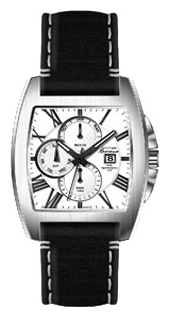 Wrist watch Sputnik NM-1S924/1 bel. stal for men - 1 image, photo, picture