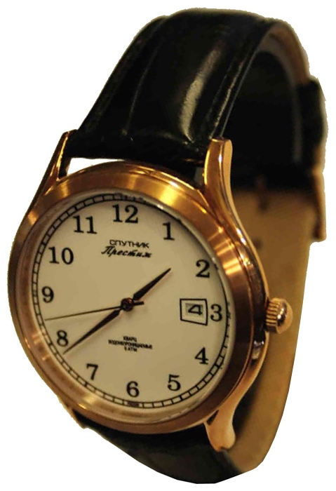 Wrist watch Sputnik NM-1S954/8 bel. for men - 1 image, photo, picture