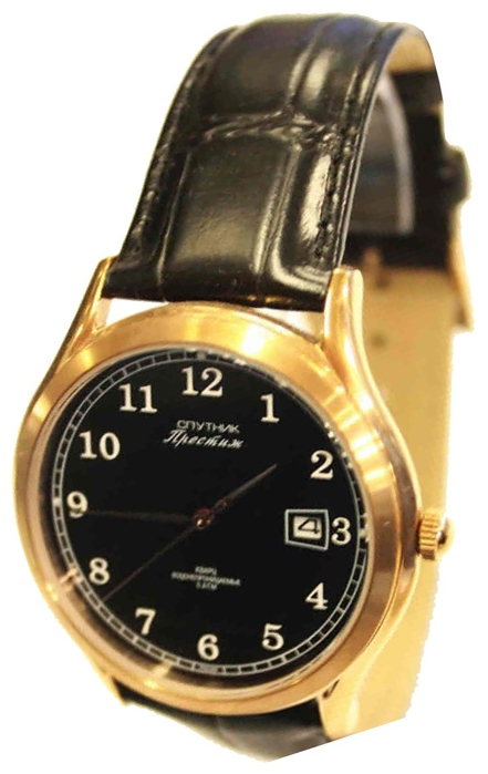 Wrist watch Sputnik NM-1S954/8 cher. for men - 1 photo, picture, image