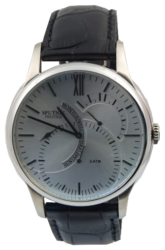Wrist watch Sputnik NM-1K824/1 stal for men - 1 picture, image, photo