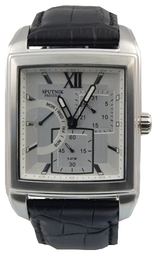 Wrist watch Sputnik NM-1L294/1 stal for men - 1 photo, picture, image