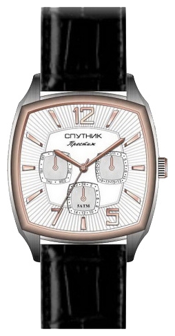 Wrist watch Sputnik NM-81606/6 bel. for men - 1 image, photo, picture