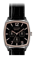 Sputnik NM-81606/6 cher. wrist watches for men - 1 image, picture, photo