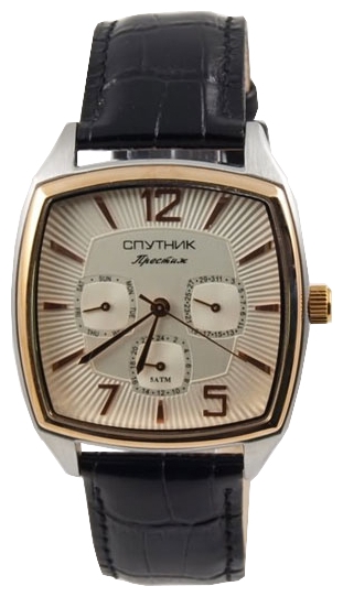 Wrist watch Sputnik NM-81606/6 stal for men - 1 photo, picture, image