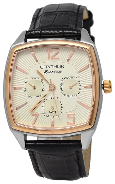 Wrist watch Sputnik NM-81606/6 stalnoj for men - 1 picture, image, photo