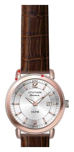 Wrist watch Sputnik NM-81613/8 stal for men - 1 picture, photo, image