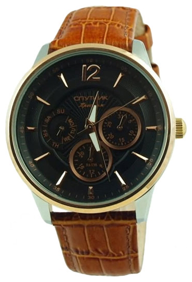 Wrist watch Sputnik NM-81614/6 cher. for men - 1 image, photo, picture