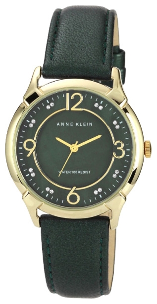 Wrist watch Anne Klein 1066GMGN for women - 1 photo, picture, image