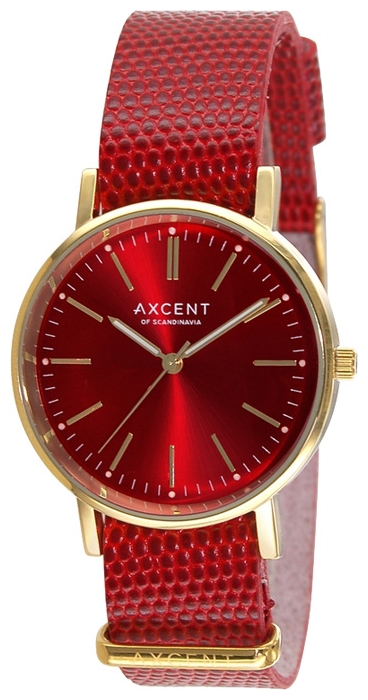 Wrist watch Axcent X99008-19 for unisex - 1 photo, image, picture