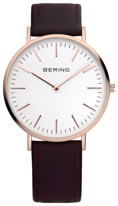 Bering 13738-564 pictures