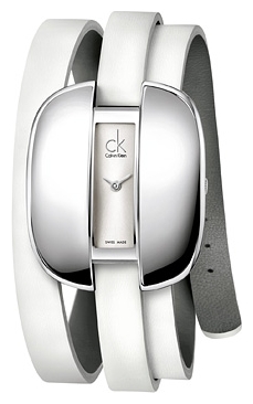 Wrist watch Calvin Klein K2E231.20 for women - 1 picture, image, photo