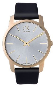 Wrist watch Calvin Klein K2G215.20 for men - 1 image, photo, picture