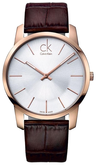 Wrist watch Calvin Klein K2G216.29 for men - 1 image, photo, picture