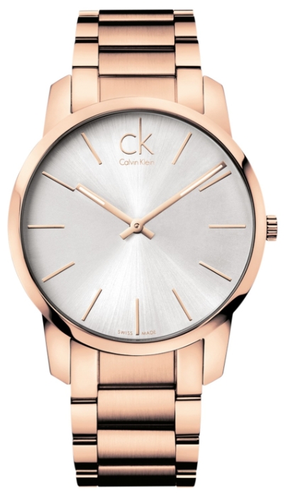 Wrist watch Calvin Klein K2G216.46 for men - 1 photo, image, picture