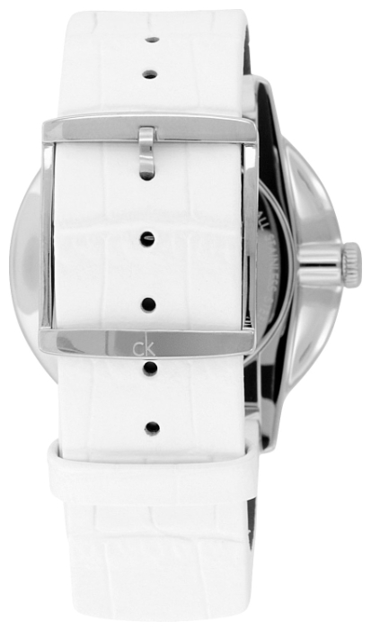 Wrist watch Calvin Klein K2Y211.K6 for men - 2 image, photo, picture