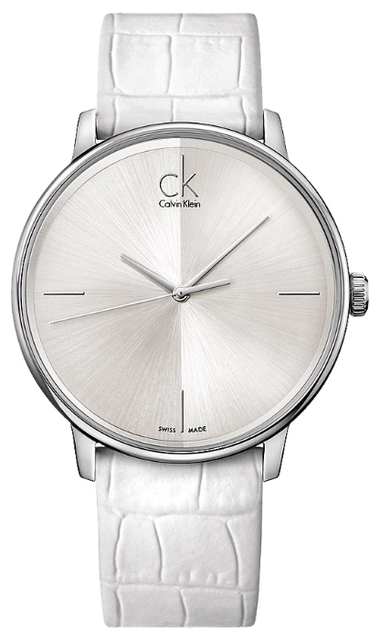 Wrist watch Calvin Klein K2Y2X1.K6 for men - 1 image, photo, picture