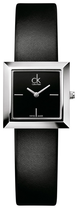 Wrist watch Calvin Klein K3R231.C1 for women - 1 picture, image, photo