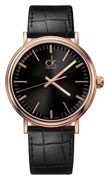 Wrist watch Calvin Klein K3W216.C1 for men - 1 photo, image, picture