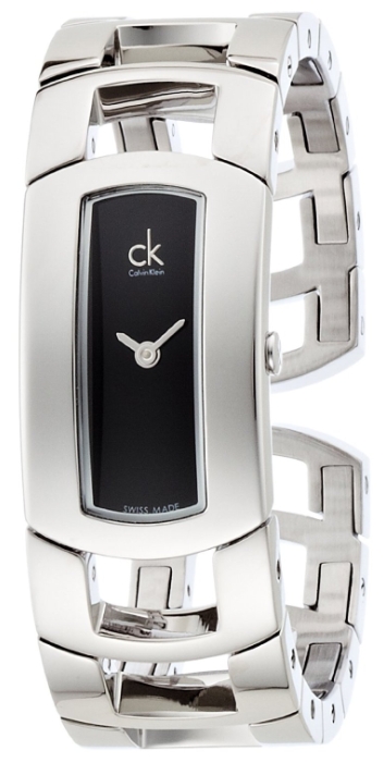 Wrist watch Calvin Klein K3Y2S1.11 for women - 1 image, photo, picture