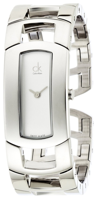 Wrist watch Calvin Klein K3Y2S1.16 for women - 1 picture, image, photo