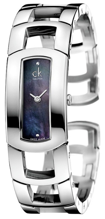 Wrist watch Calvin Klein K3Y2S1.1S for women - 1 picture, image, photo