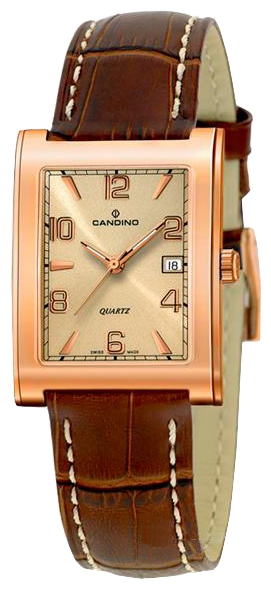 Wrist watch Candino C4349_2 for men - 1 picture, image, photo