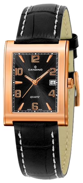 Wrist watch Candino C4349_3 for men - 1 photo, image, picture