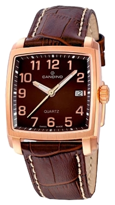 Wrist watch Candino C4373_4 for men - 1 photo, image, picture