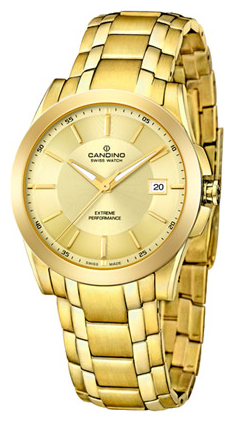 Wrist watch Candino C4404_2 for men - 1 photo, picture, image