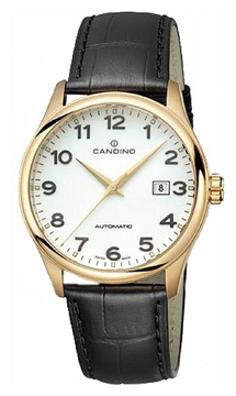 Wrist watch Candino C4459_1 for men - 1 photo, picture, image