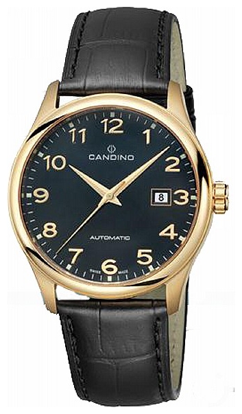 Wrist watch Candino C4459_4 for men - 1 photo, picture, image