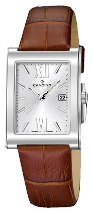 Wrist watch Candino C4460_5 for men - 1 image, photo, picture