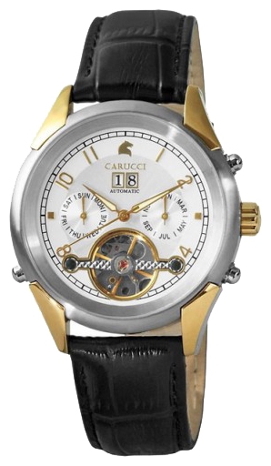 Wrist watch Carucci CA2117BC-SL for men - 1 picture, photo, image