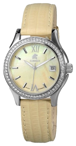 Carucci CA2188YL wrist watches for women - 1 image, picture, photo