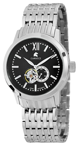 Wrist watch Carucci CA2193BK for men - 1 picture, photo, image