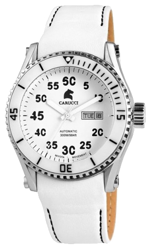 Wrist watch Carucci CA2196WH for men - 1 picture, photo, image